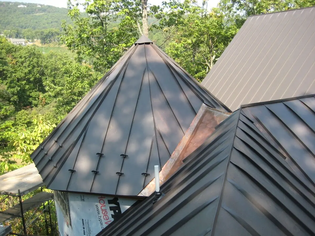 Professional Shingle Replacement & Repair by Craftsman Roofing in Biscoe